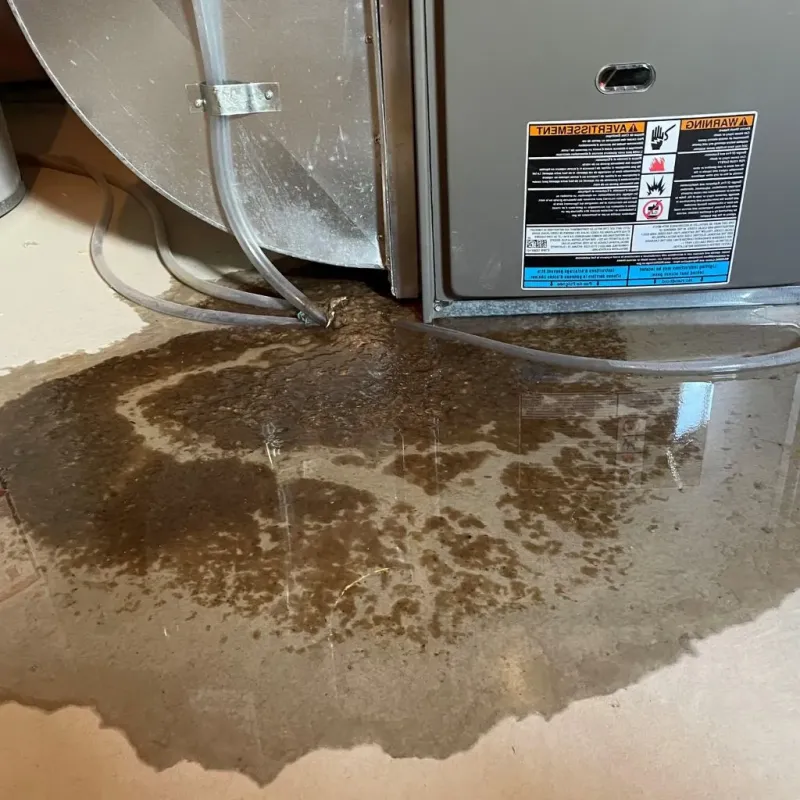 Pipe Burst and Leak Restoration in Elliott County, KY