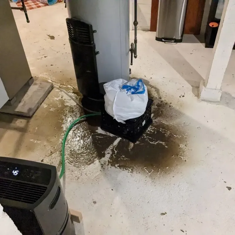 Sewage Backup Cleanup Service in Elliott County, KY